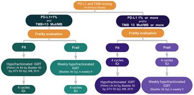Immunotherapy and radiotherapy for older patients with invasive bladder cancer unfit for surgery or chemotherapy: practical proposal by the international geriatric radiotherapy group